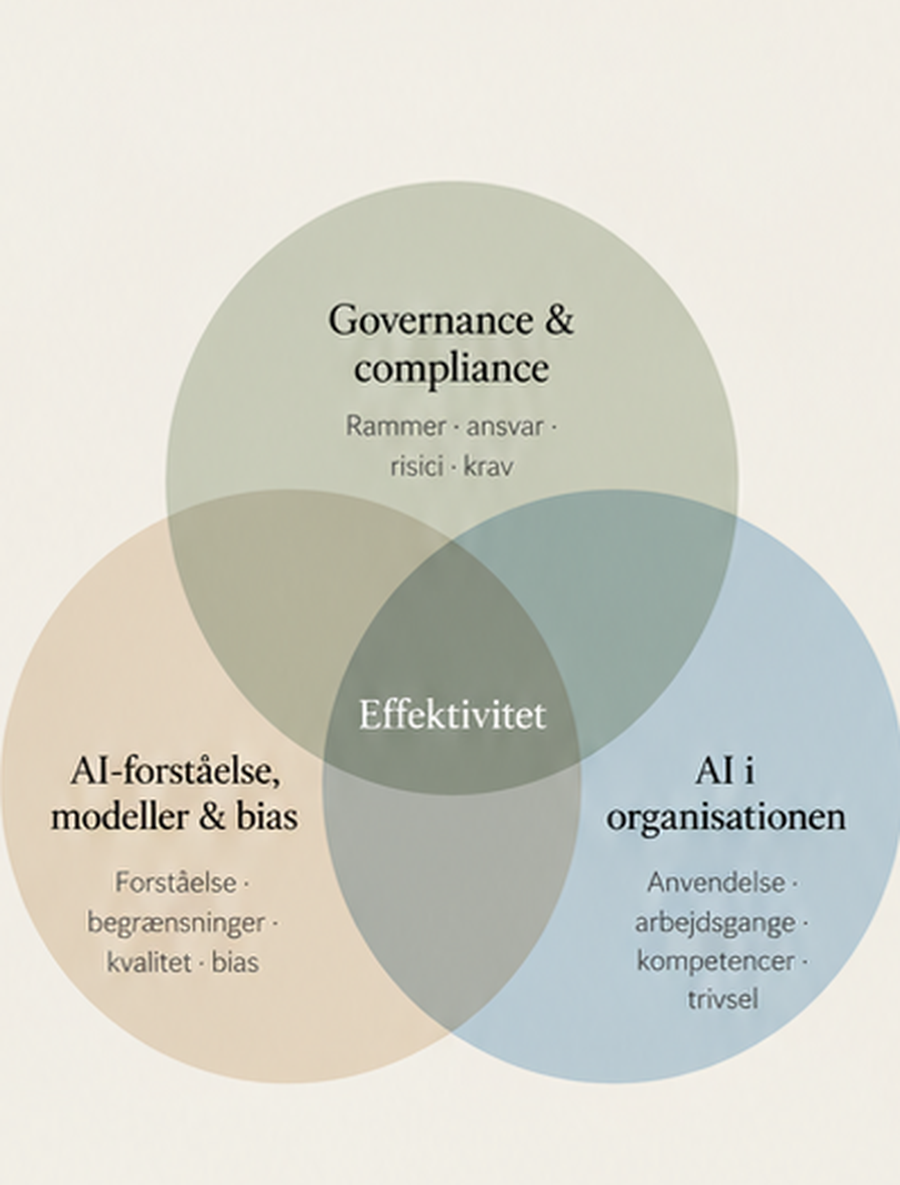 Diagram med tre overlappende cirkler: Governance & compliance (rammer, ansvar, risici, krav), AI-forståelse, modeller & bias (forståelse, begrænsninger, kvalitet, bias) og AI i organisationen (anvendelse, arbejdsgange, kompetencer, trivsel). I midten: Effektivitet.