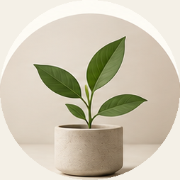 Grøn plante i en hvid lerpotte